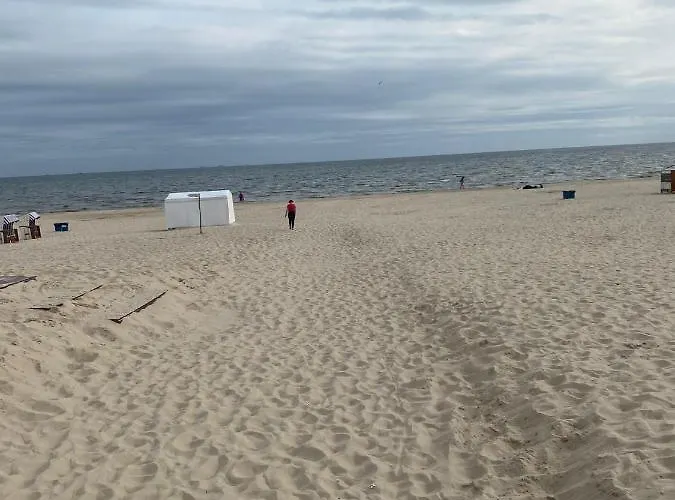 Avangard Prestige Appartement