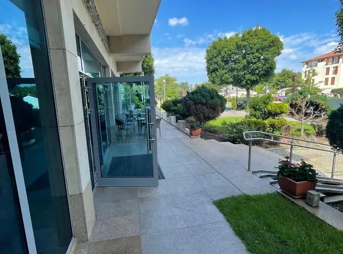 Avangard Prestige * Свиноуйсьце